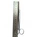 Н-6В Scissors veterinary blunt 18cm.